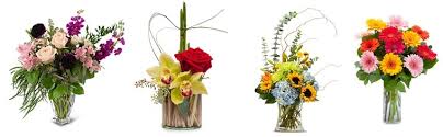 It has the best range of floral designs for any special event, from wedding and birthday. The 8 Best Options For Flower Delivery In Mckinney Texas 2021