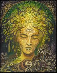 Danielle Berryman (daniellekb93)