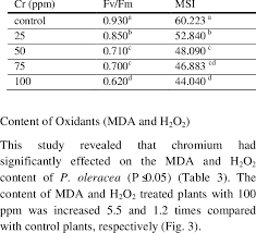 Check spelling or type a new query. Average Changes Of Efficiency Of Photosystem Ii Fv Fm And Cell Download Scientific Diagram