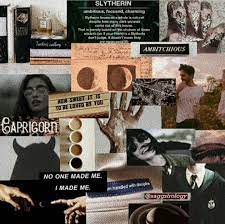 Capricorn Moodboard Capricorn Aesthetic Zodiac Capricorn Slytherin Aesthetic