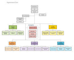 Organization Chart