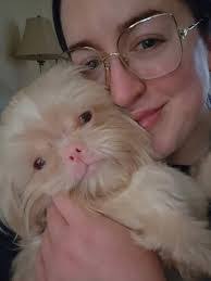 Nikki Auriemma's Instagram, Twitter & Facebook