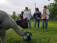 Pacas & Pints