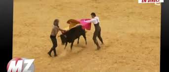 Elle suit julie andrieu dans ses voyages au cœur des cultures culinaires des quatre coins de la planète. Toute L Actualite Fourchette Et Sac A Dos Jean Marc Morandini