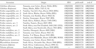 Image result for Raphionacme monteiroae