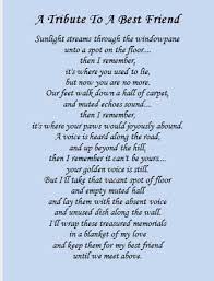 Pin By Deb On Animals Pet Loss Poem Dog Poems Pet Loss Grief