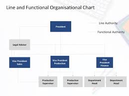 Line And Functional Organization Structure In 2020 Organizational Chart Infographic Powerpoint Powerpoint Templates