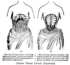 Waist Training Part One What Why How Of Corsets And Cosplay