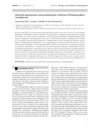 Image result for Anisosepalum alboviolaceum