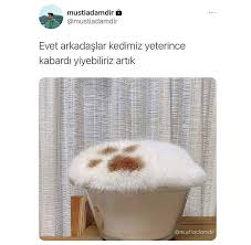 Maskeli Kiz Adli Kullanicinin A Paylastiklarimmmmmmm Panosundaki Pin 2020 Komik Seyler Komik Goruntuler Komik