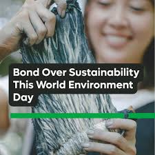 🌱 Bond over sustainability this World Environment Day!, Celebrate World  Environment Day with a unique, hands-on experience that brings your team  with our hands-on upcycling workshop that ♻️turns ...