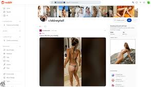 Skinny Tail & 633+ Reddits NSFW List Like reddit.comskinnytail