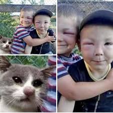 😆☺️ "Has your cat ever sulked? "