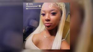 Beagles rescued from laboratory set to be adopted