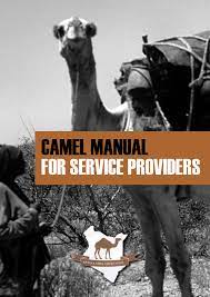 From the interview, they have found that she is extroverted, empathic, scrupulous, and. Pdf Camel Manual For Service Providers 2 3 Camel Manual For Service Providers Editorial Team