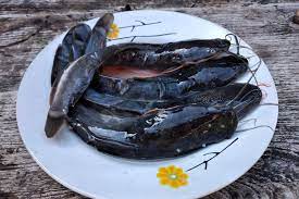 5 Cara Olah Ikan Lele Agar Tidak Bau Amis Dan Berlendir Halaman All Kompas Com