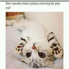 Tumblr Sozleri Posts Facebook
