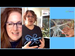 Coffee With The Critters™