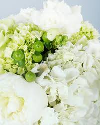 Maybe you would like to learn more about one of these? Darien Florist Flower Delivery By Nielsen S Florist And Garden Shop
