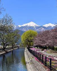 長野県 信州 安曇野 春 桜 芝桜 常念岳 日本の風景 ナガトリ 長野のいいところ 風景 写真好きと繋がりたい ファインダー越しの私の世界 バイク好きな人と繋がりたい 長野県 信州 安曇野 春 桜 nature spring nature landscaping plants