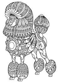 Animals music soccer spring easter home contact search adult color pages tell a friend. Pin On Cats Dogs Coloring Pages For Adults
