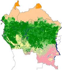 Natural vegetation map of africa history african africa map. Forest Observations