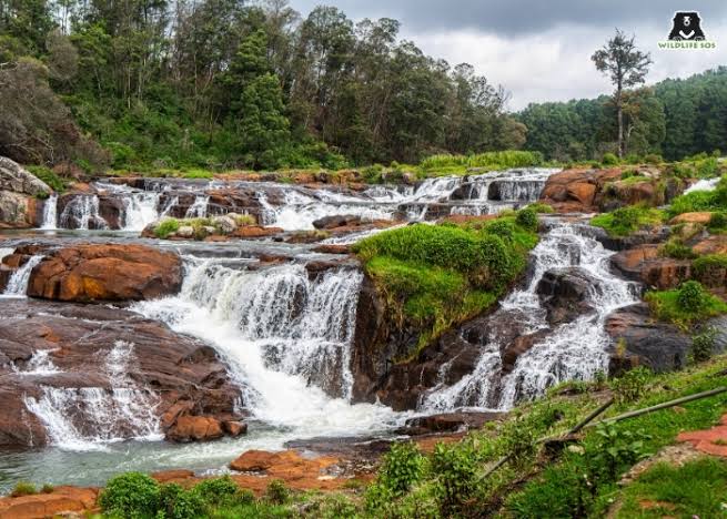 Western Ghats (Nilgiri Biosphere Reserve) Image 2