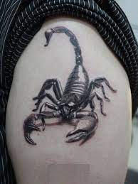 40 Amazing Scorpion Tattoo Designs And Meaning Self Protection Check More At Http Tattoo Journal Com 25 Bes Scorpion Tattoo Scorpio Tattoo Tattoos For Guys