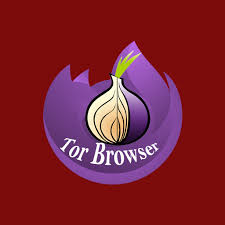 The dark web carries a strong reputation for danger: Tor Browser Dark Web Apk 1 1 0 Download Apk Latest Version