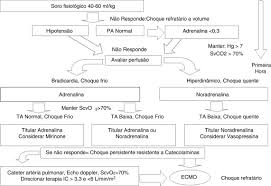 Choque séptico secundario a fiebre por chikungunya no congénita en un lactante menor: Septic Shock In Pediatrics The State Of The Art Sciencedirect