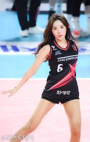 스포츠 - 네이트