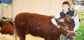 Zenpark vous propose des places de parkings partagés à partir de 0,70 parkings publics. Paris Le Salon De L Agriculture 2021 D Ores Et Deja Annule