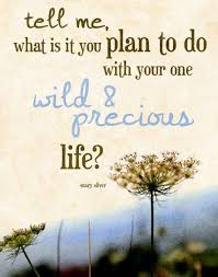 Your One Wild Precious Life Mary Oliver Quotes Inspirational Words Cool Words