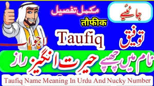 Wabillahi taufik wal hidayah, wassalamualaikum warahmatullahi wabarakatuh. Taufiq Meaning In Tamil Taufiq Name Meaning