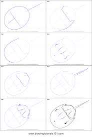 Start today and improve your skills. How To Draw A Horseshoe Crab Printable Step By Step Drawing Sheet Drawingtutorials101 Com