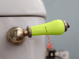 Image result for thin ribbon stools human poop