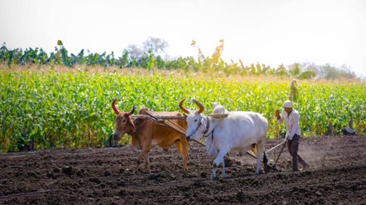 Indian Farmer Bill | Farm Management Software - Trace AgTech