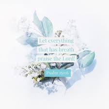 Let Everything That Has Breath Praise The Lord Bible Verse Psalm 150 6 Praise The Lord Bible Verse Art Psalm 150 Bible Inspiration