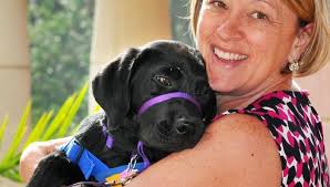 Gallery: Melbourne puppy raiser