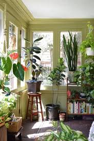 Window Design Ideas With Plant That Make Your Home Cozy More 36 Room With Plants Plant Decor Natural Home Decor