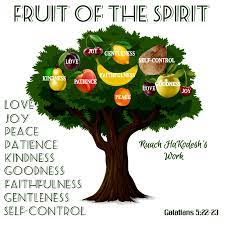 But they're not as great as the sycomores of the middle east. Tree Of Righteousness Gone Fishin