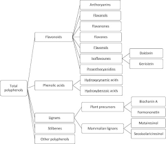 A Systematic Review Of Food Composition Tools Used For