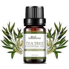 ₹ 3,000/ kg get latest price. 11 Best Tea Tree Essential Oils Available In Indian Market
