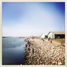 Die Neue Halle Fur Sportfischerei In Hvide Sande Mit Frischem Eis Etc Ist Ab Freitag Bereit Fur Die Nutzung Http Www Hvidesande Dk Hvide Sande Hvide Billeder