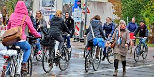 In Greifswald Fahren Die Meisten Studenten Mit Dem Fahrrad Adfc Kritisiert Radwege