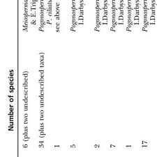 Image result for Meiosperma debile