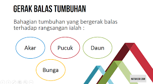 1.4 kepentingan gerak balas terhadap rangsangan dalam haiwan lain hasil pembelajaran : Nota Proses Hidup Tumbuhan Tahun 4