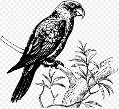 Untuk digunakan gratis tidak ada atribut yang di perlukan. 25 Gambar Vektor Keren Hitam Putih Gambar Keren Coy