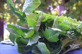 La pulizia dell'ottone, deve essere fatta in maniera dolce e non troppo invasiva, questo per salvaguardare la patina ovvero l'ossidazione creatasi con il passare del tempo. Ingrediente Cicoria Catalogna Le Ricette Dello Spicchio D Aglio