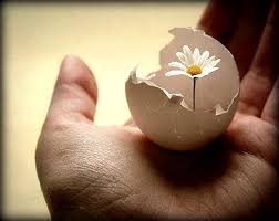 4,191 likes · 15 talking about this. Sura Yasin Fur Die Toten Und Das Koranlesen Als Sport Alrahman